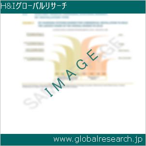 グローバルリサーチ調査レポートのイメージ